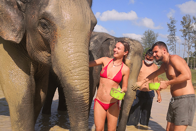 phuket thailand elephant safari