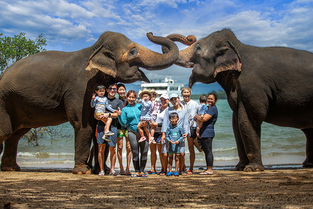 phuket thailand elephant safari
